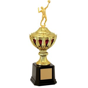 Troféu de Voleibol com 50cm