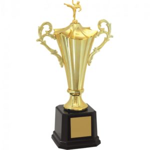 Troféu de Karate com 67 cm