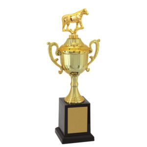Troféu de Vaca com 37cm
