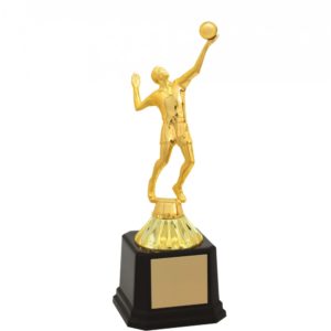 Troféu de Voleibol  com 14cm