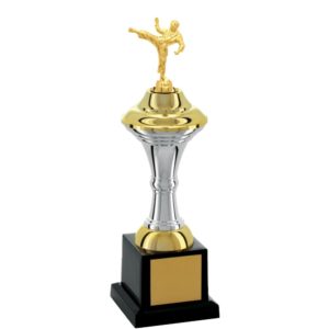 Troféu de Karate com 33 cm