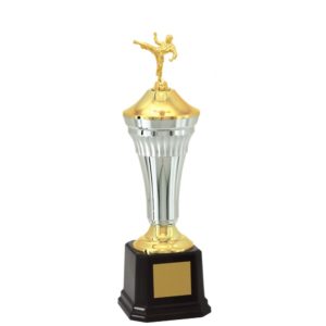 Troféu de Karate com 40 cm