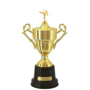 Troféu de Karatê com 66 cm