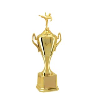 Troféu de Karatê com 58 cm