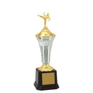 Troféu de Karate com 47 cm