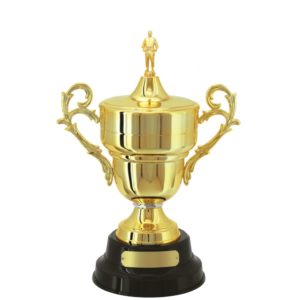 Troféu de Judô com 54 cm
