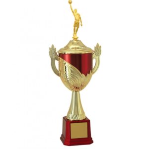 Troféu de Basquete com 57cm