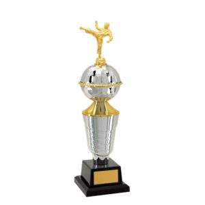 Troféu de Karatê com 49 cm