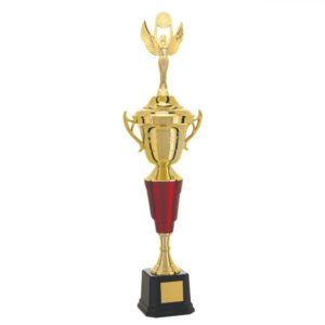 Troféu Vitória com 59cm