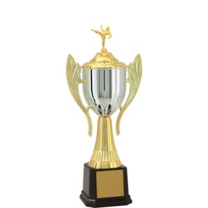 Troféu de Karate com 65 cm