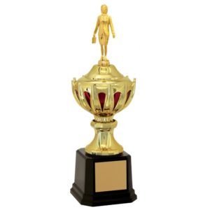 Troféu de Executivo com 43cm