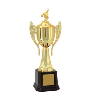 Troféu de Motocross com 69 cm