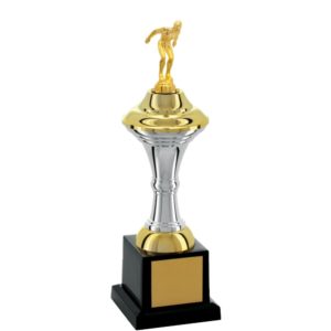 Troféu de Natação com 33 cm