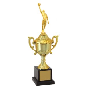 Troféu de Basquete com 33cm