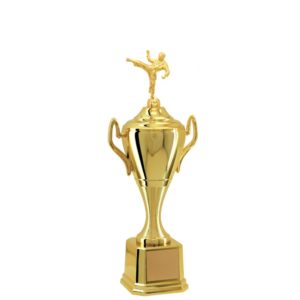 Troféu de Karatê com 52 cm