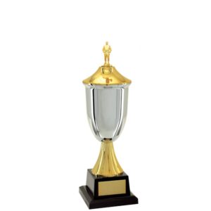 Troféu de Judo com 42 cm