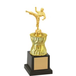Troféu de Karate com 25 cm