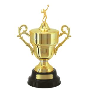 Troféu de Voleibol com 54cm