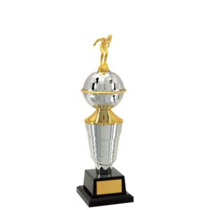 Troféu de Natação com 49 cm