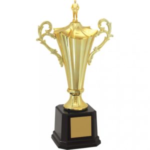 Troféu de Judô com 67 cm