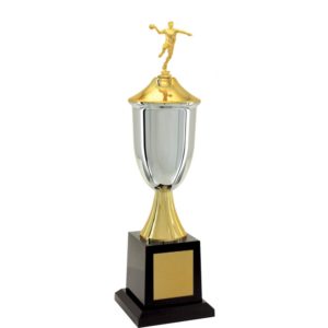 Troféu de Handebol com 53 cm