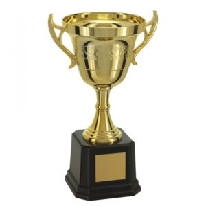 Troféu Taça aberta 31cm ref: 501571-DO