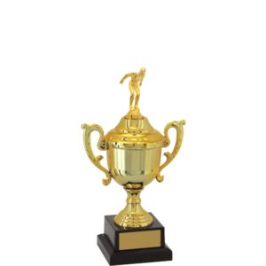 Troféu de Natação com 30 cm
