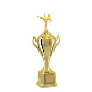 Troféu de Karatê com 42 cm