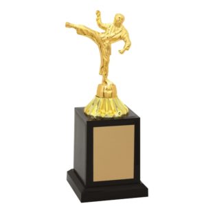 Troféu de Karate com 23 cm