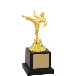 Troféu de Karate com 20 cm