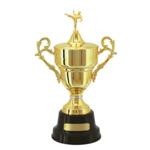 Troféu de Karatê com 59 cm