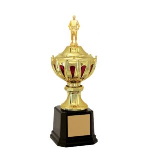 Troféu de Judô com 43 cm