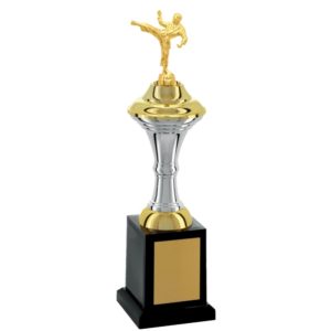 Troféu de Karate com 38 cm