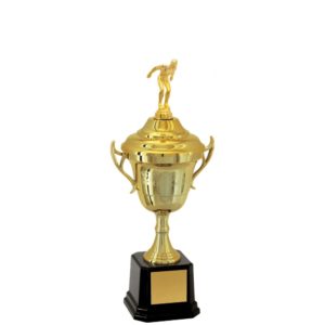 Troféu de Natação com 41 cm