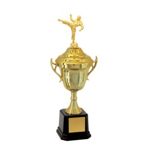 Troféu de Karatê com 41 cm