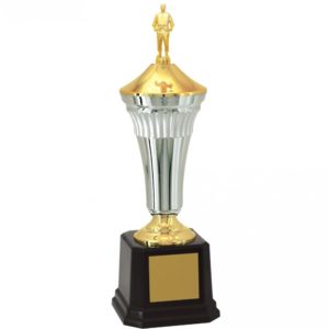 Troféu de Judô com 53 cm
