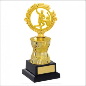 Troféu Vencedor Handebol