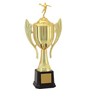 Troféu de Handebol com 63 cm