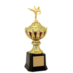 Troféu de Karate com 43 cm