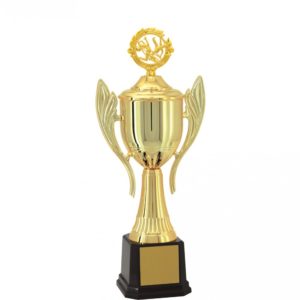 Troféu de Capoeira com 65cm