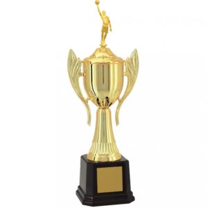 Troféu de Basquete com 69cm
