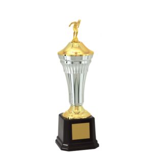 Troféu de Natação com 40 cm
