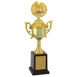 Troféu de Ornitologia com 37 cm