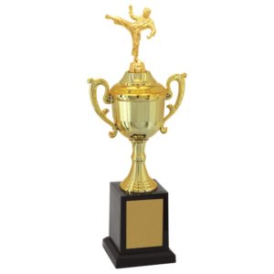 Troféu de Karate com 37 cm