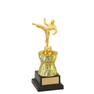 Troféu de Karate com 28 cm