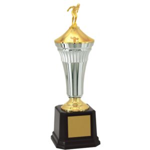 Troféu de Natação com 53 cm