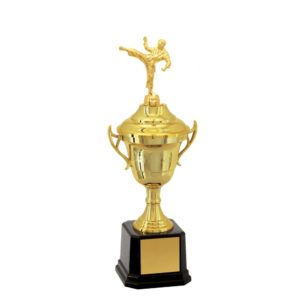 Troféu de Karatê com 34 cm
