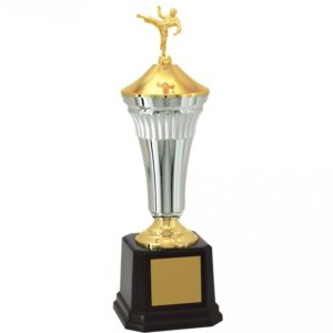 Troféu de Karate com 53 cm