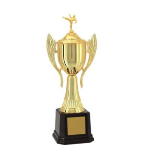 Troféu de Karate com 69 cm
