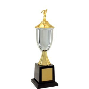 Troféu de  Natação com 53 cm